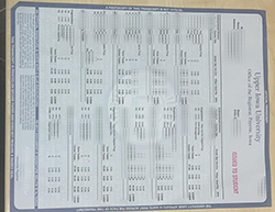 为你定制上爱荷华大学成绩单。