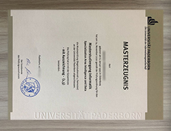 Fake Paderborn University Diploma For Sal