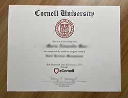 Do You Need A Fake eCornell Diploma? Corn