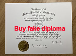 Looking for A Diploma Replica of The Stev