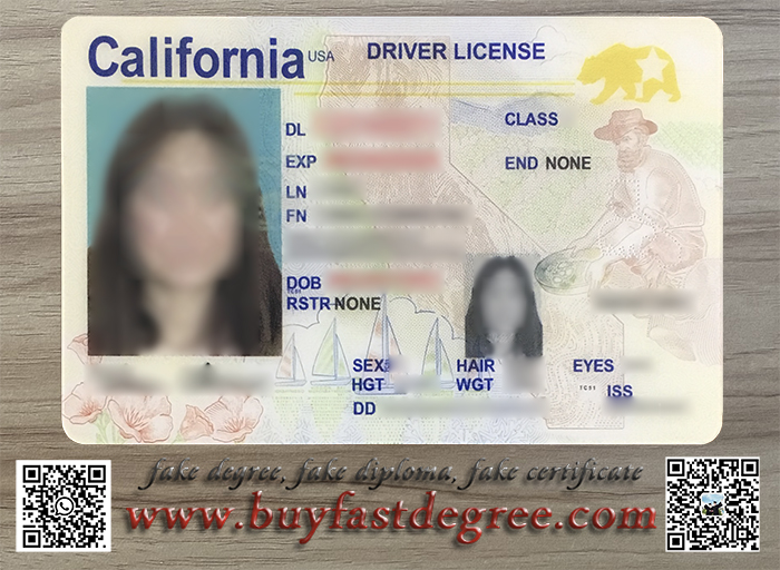 Fake Driver's License