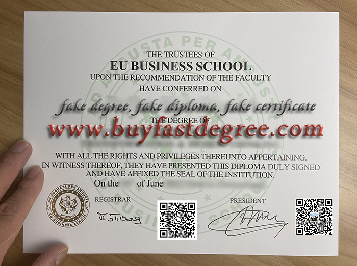 fake EU Business School degree