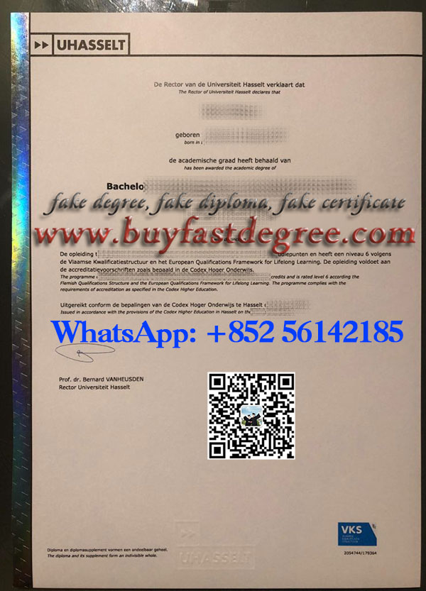 Buy UHasselt diploma. 